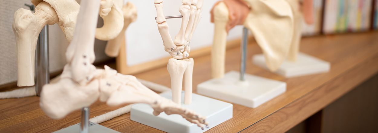 かとう整形外科クリニック・兵庫県西宮市